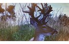 Lake County, Indiana wildlife caught - LAND AUCTION - 147+/- ACRES OFFERED IN 3 TRACTS IN LAKE COUNTY, INDIANA